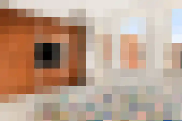 Conducteur 19 Assendelft thumbnail 26