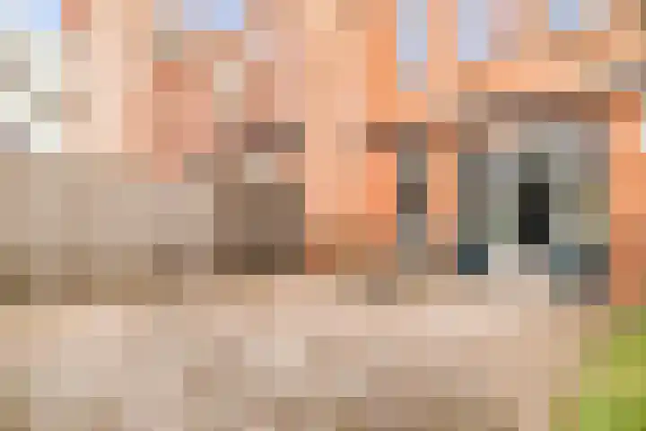 Conducteur 19 Assendelft thumbnail 30