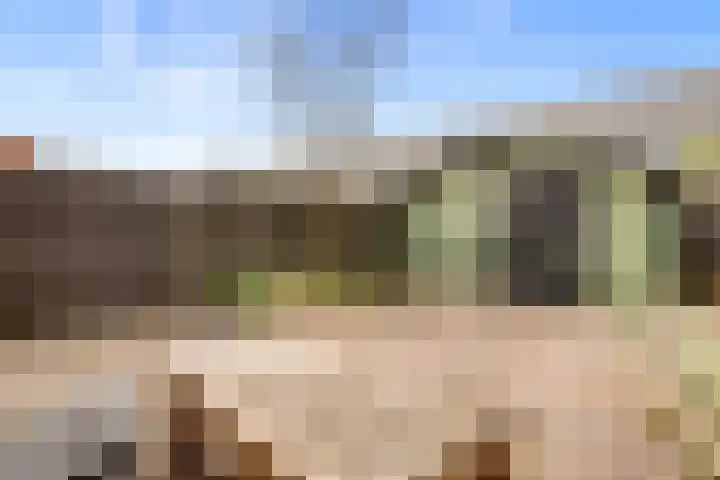 Conducteur 19 Assendelft thumbnail 31