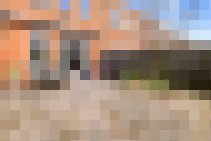 Conducteur 19 Assendelft thumbnail 6