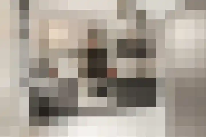 Conducteur 19 Assendelft thumbnail 9