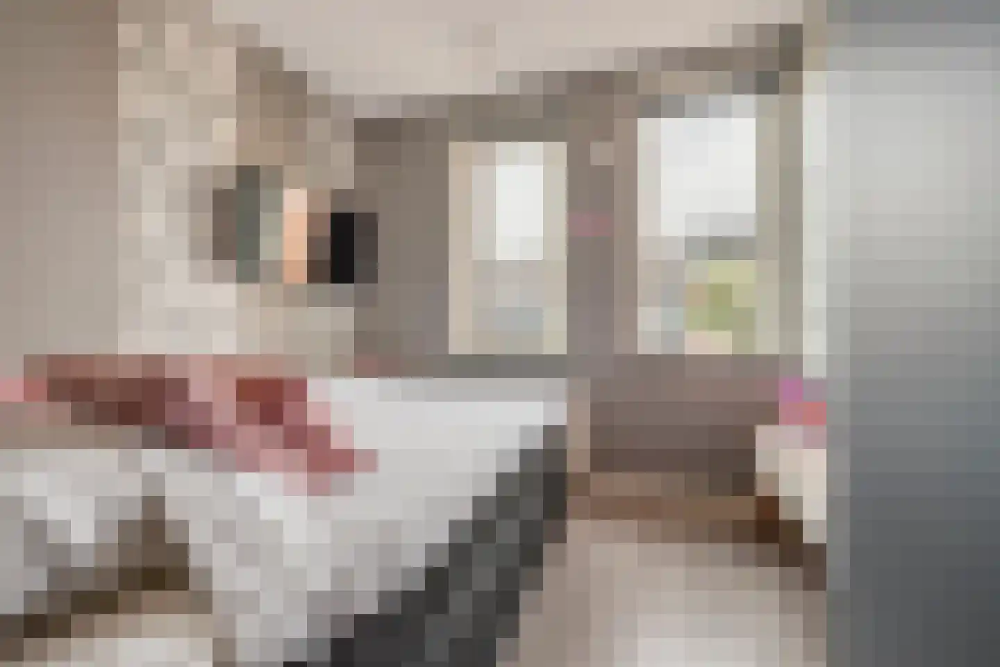Conducteur 21 Assendelft thumbnail 19