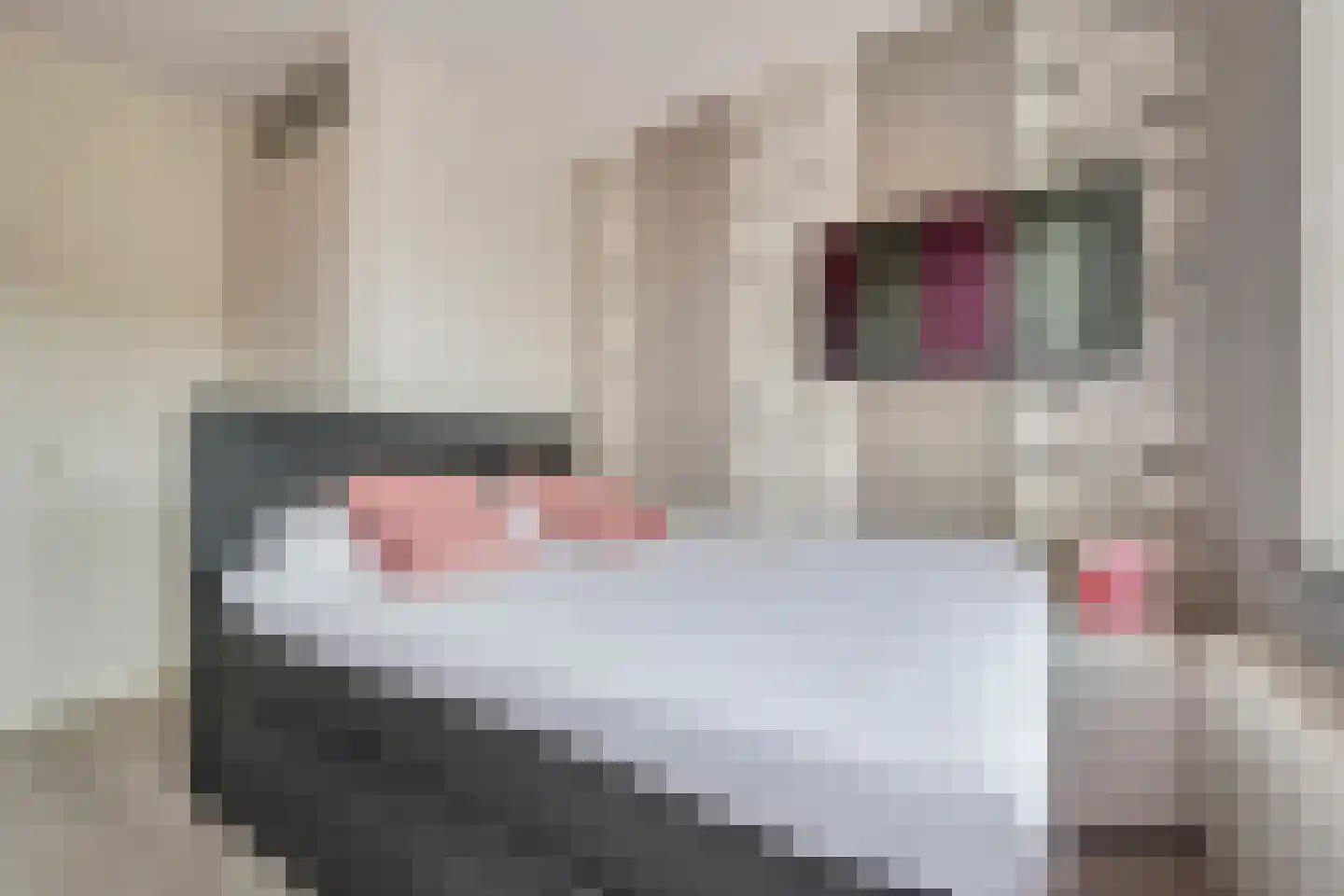 Conducteur 21 Assendelft thumbnail 20