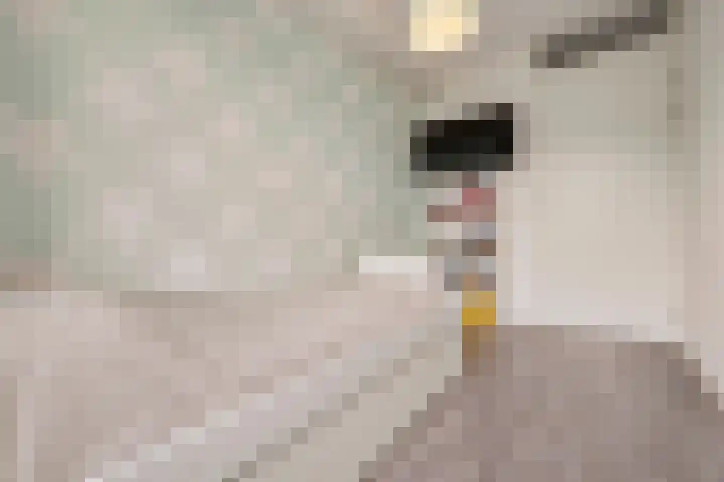 Conducteur 21 Assendelft thumbnail 23