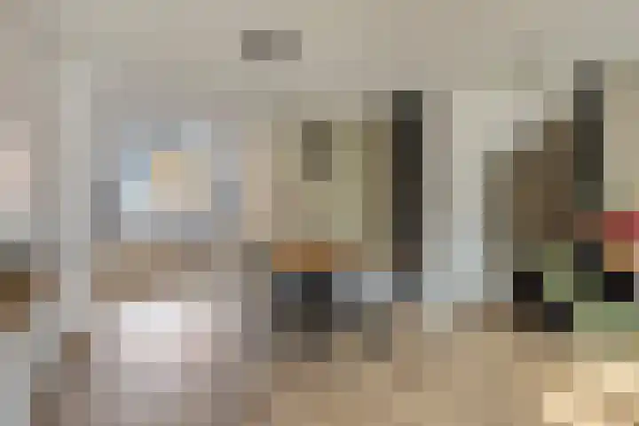 Conducteur 22 Assendelft thumbnail 10