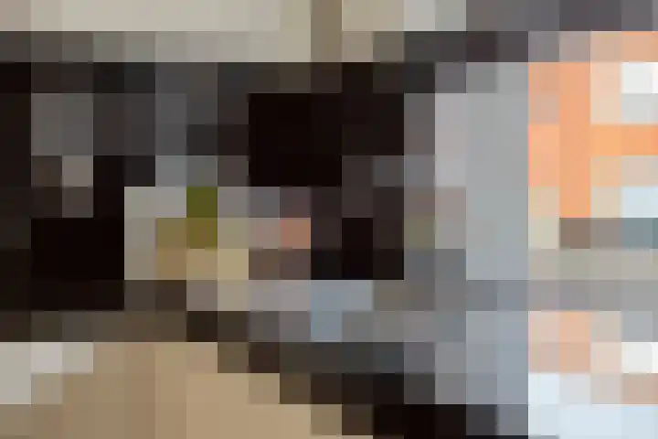 Conducteur 22 Assendelft thumbnail 14
