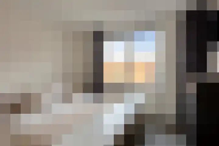 Conducteur 22 Assendelft thumbnail 16