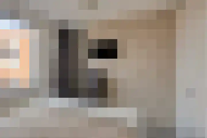 Conducteur 22 Assendelft thumbnail 18