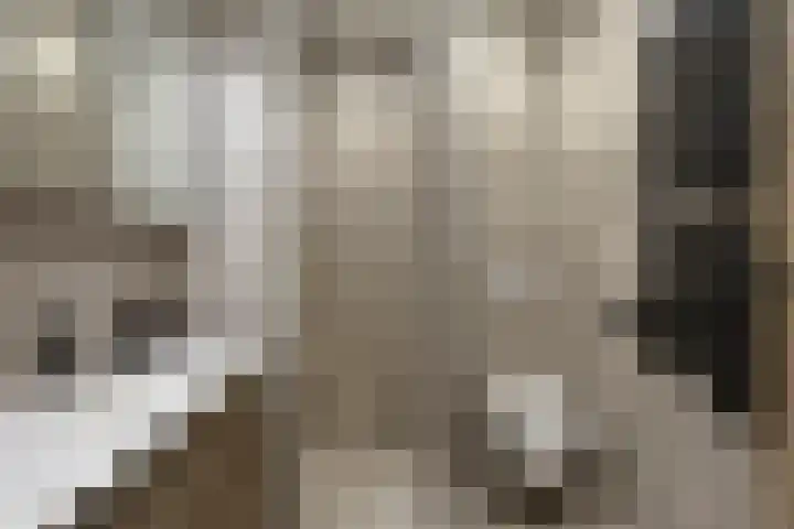 Conducteur 22 Assendelft thumbnail 20