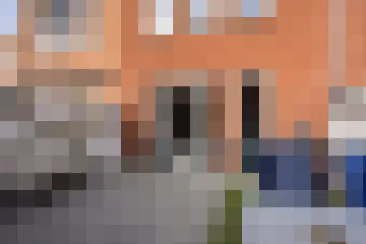 Conducteur 22 Assendelft thumbnail 26