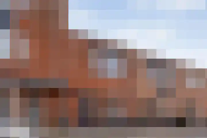 Conducteur 22 Assendelft thumbnail 28