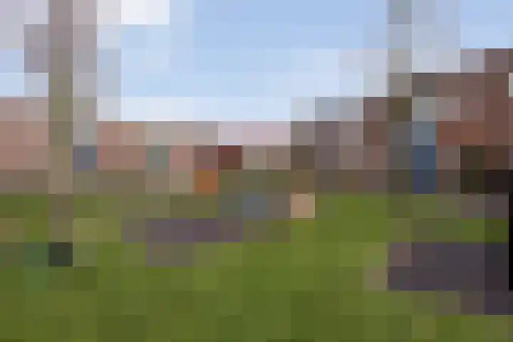 Conducteur 22 Assendelft thumbnail 31