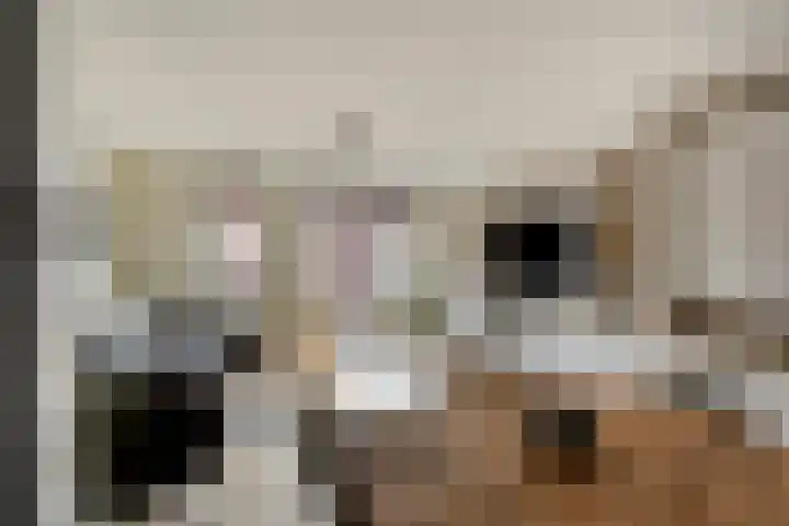 Conducteur 22 Assendelft thumbnail 6