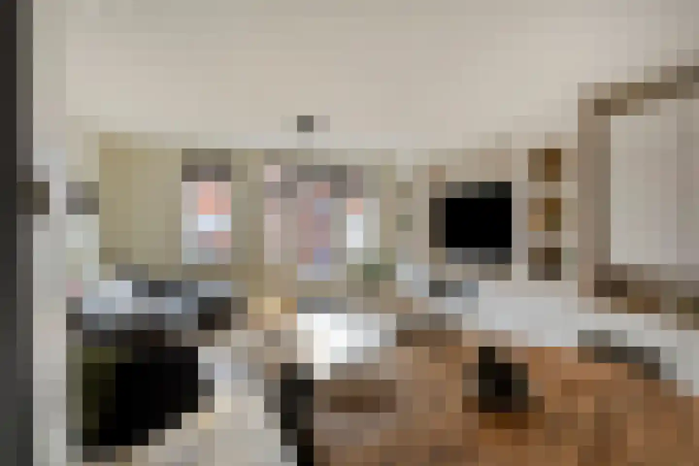 Conducteur 22 Assendelft thumbnail 6