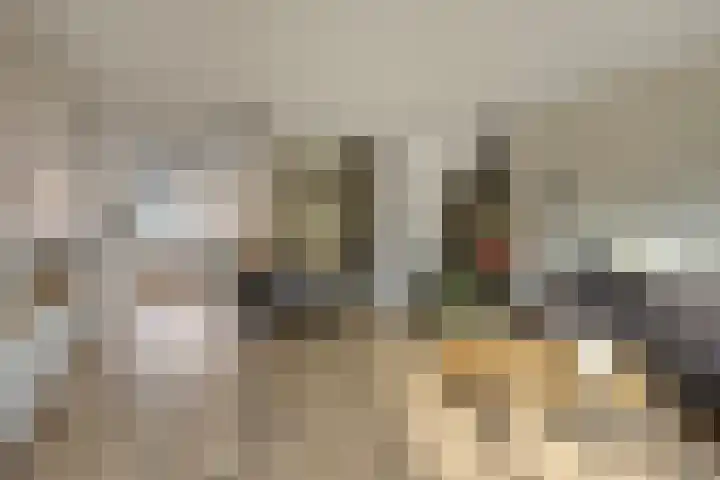 Conducteur 22 Assendelft thumbnail 8