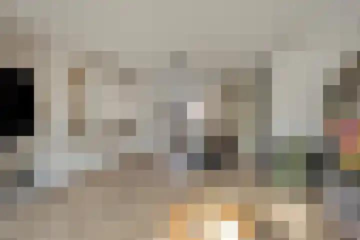 Conducteur 22 Assendelft thumbnail 9