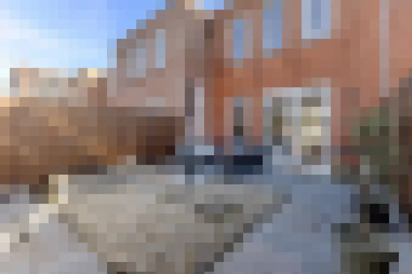 Conducteur 3 Assendelft thumbnail 20