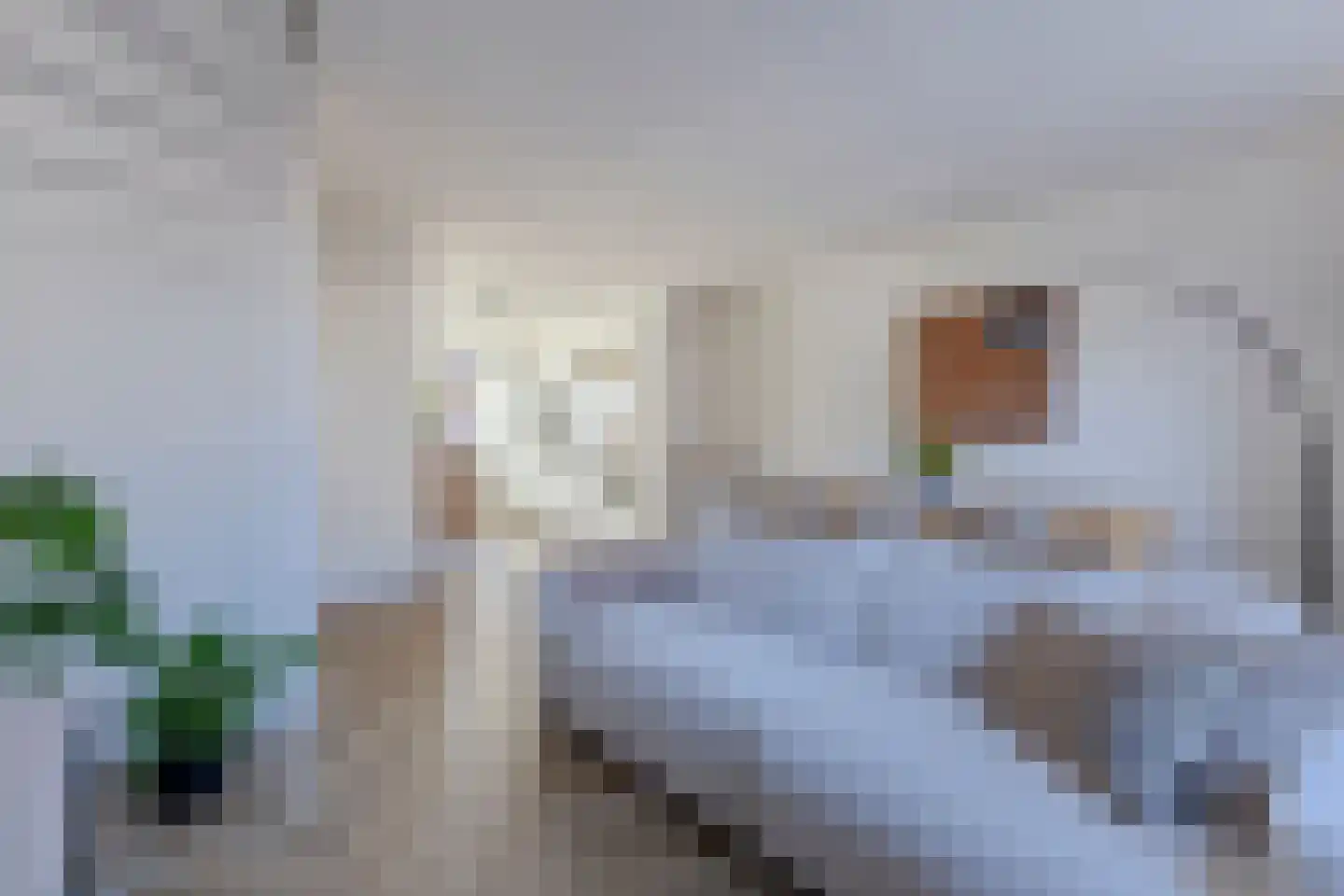 Conducteur 3 Assendelft thumbnail 5