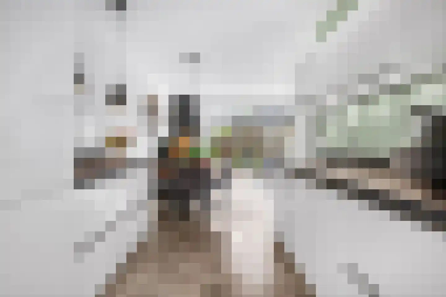 Conerij 16 Ede thumbnail 15