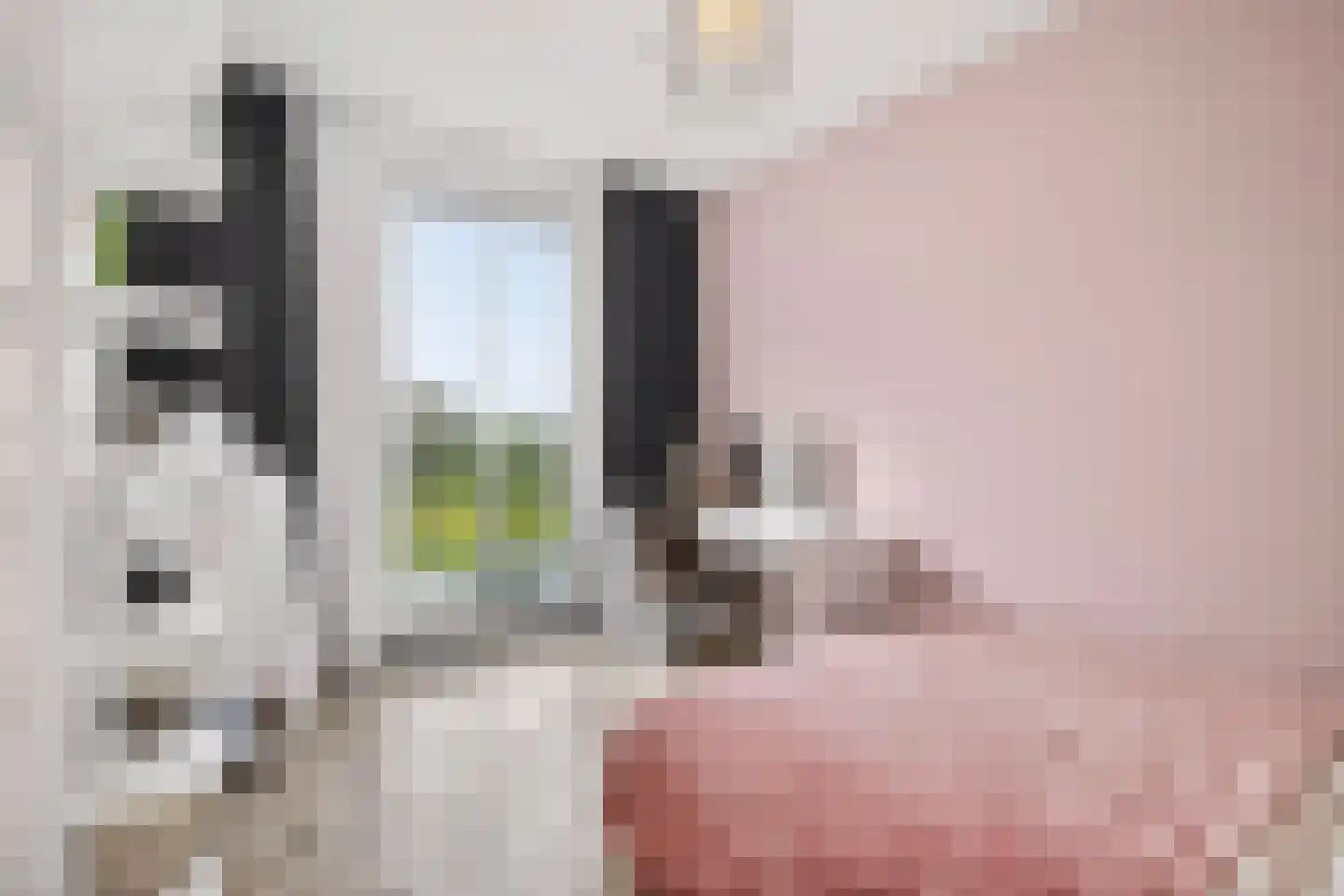 Conerij 16 Ede thumbnail 25