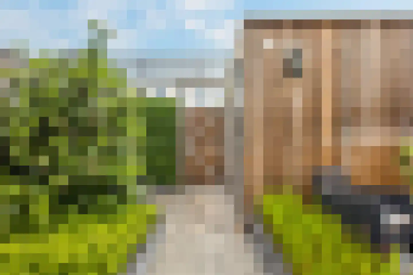 Conerij 16 Ede thumbnail 45