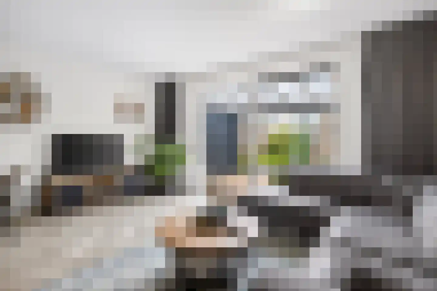 Conerij 16 Ede thumbnail 7