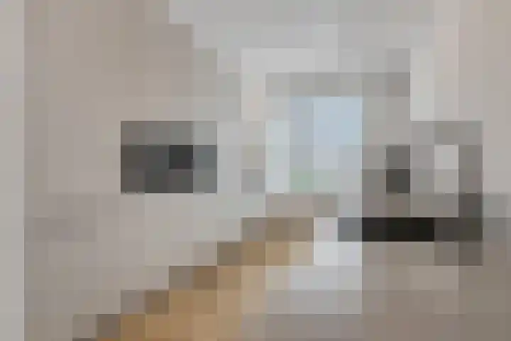 Conerij 18 Ede thumbnail 10