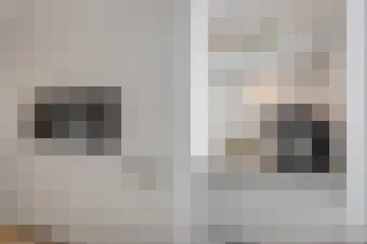 Conerij 18 Ede thumbnail 12