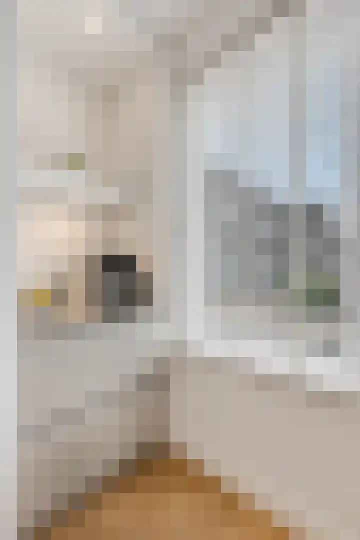 Conerij 18 Ede thumbnail 13