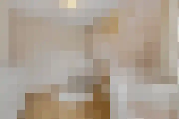 Conerij 18 Ede thumbnail 23
