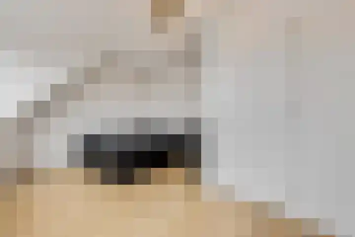 Conerij 18 Ede thumbnail 28