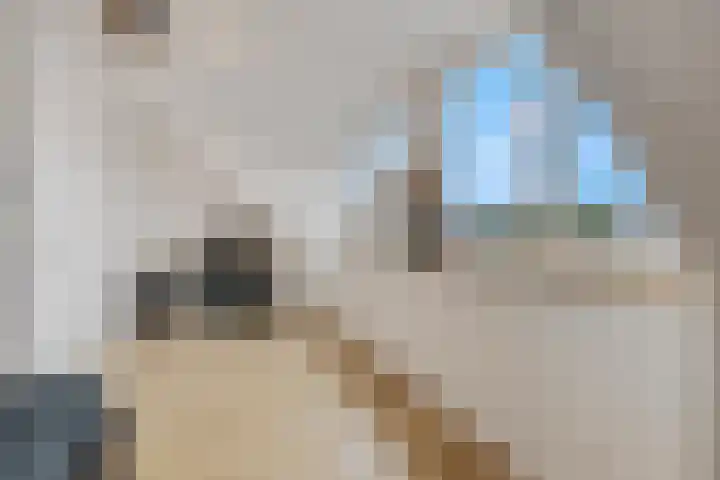 Conerij 18 Ede thumbnail 29