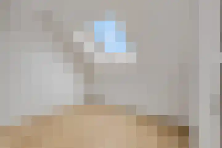 Conerij 18 Ede thumbnail 31