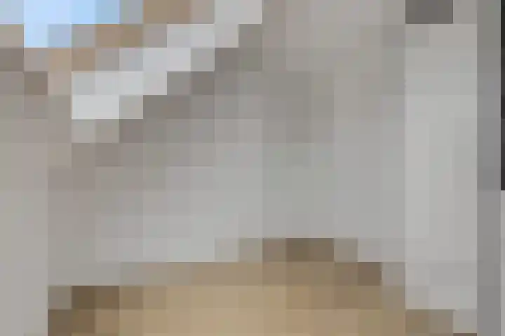 Conerij 18 Ede thumbnail 32