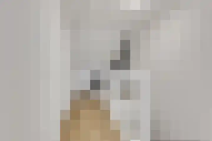 Conerij 18 Ede thumbnail 34