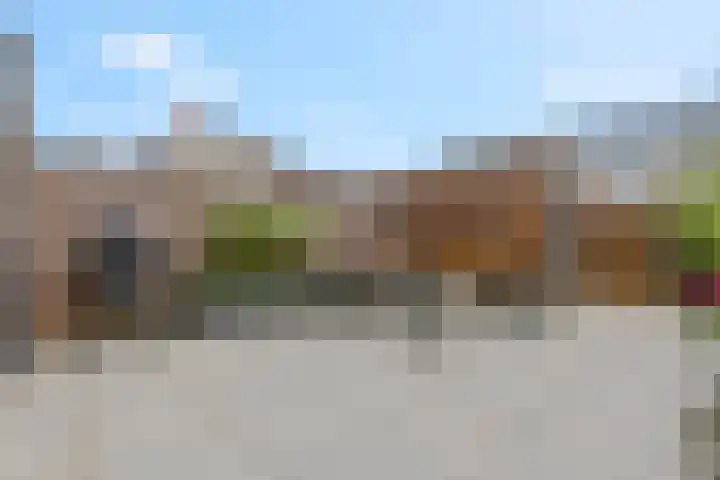 Conerij 18 Ede thumbnail 35