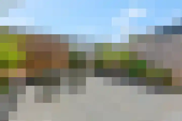 Conerij 18 Ede thumbnail 36