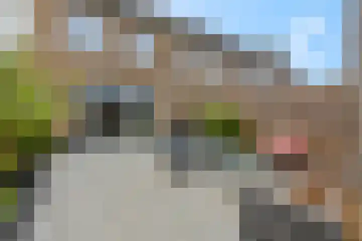 Conerij 18 Ede thumbnail 37