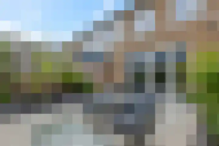 Conerij 18 Ede thumbnail 38
