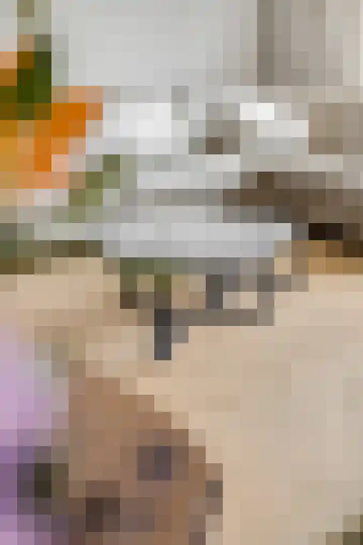 Conerij 18 Ede thumbnail 4