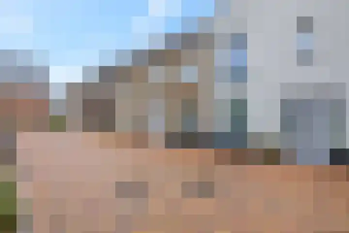 Conerij 18 Ede thumbnail 42