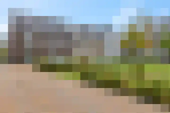 Conerij 18 Ede thumbnail 44