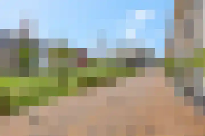 Conerij 18 Ede thumbnail 45