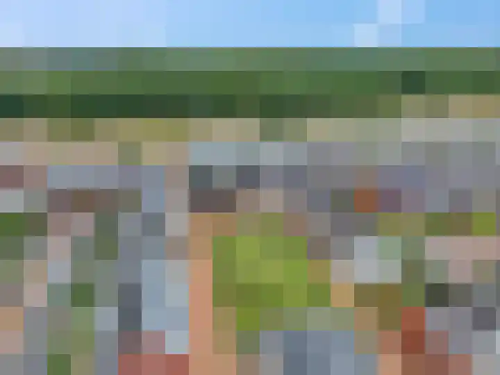 Conerij 18 Ede thumbnail 49