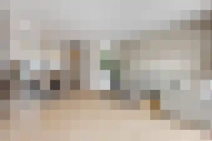 Conerij 18 Ede thumbnail 5