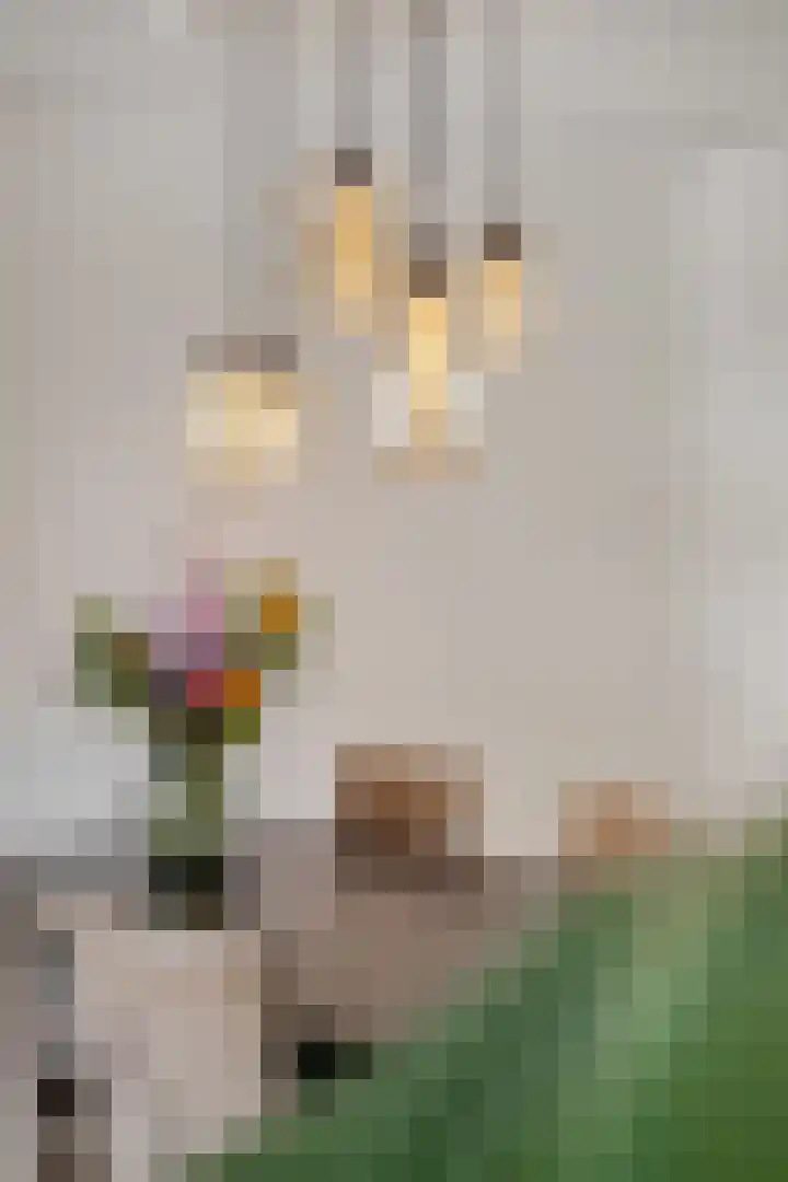 Conerij 18 Ede thumbnail 8