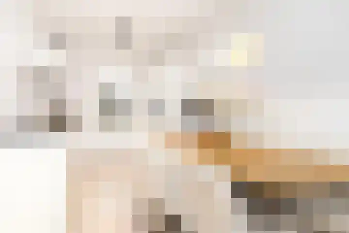 Conerij 22 Ede thumbnail 13