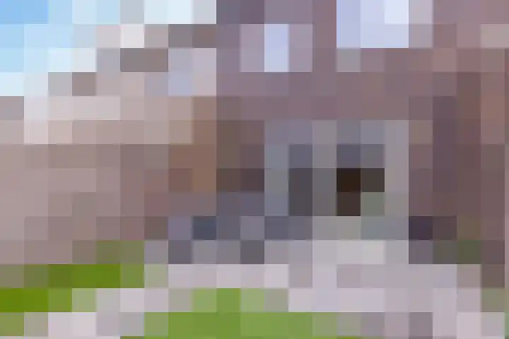 Conerij 22 Ede thumbnail 18