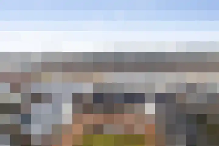 Conerij 22 Ede thumbnail 29