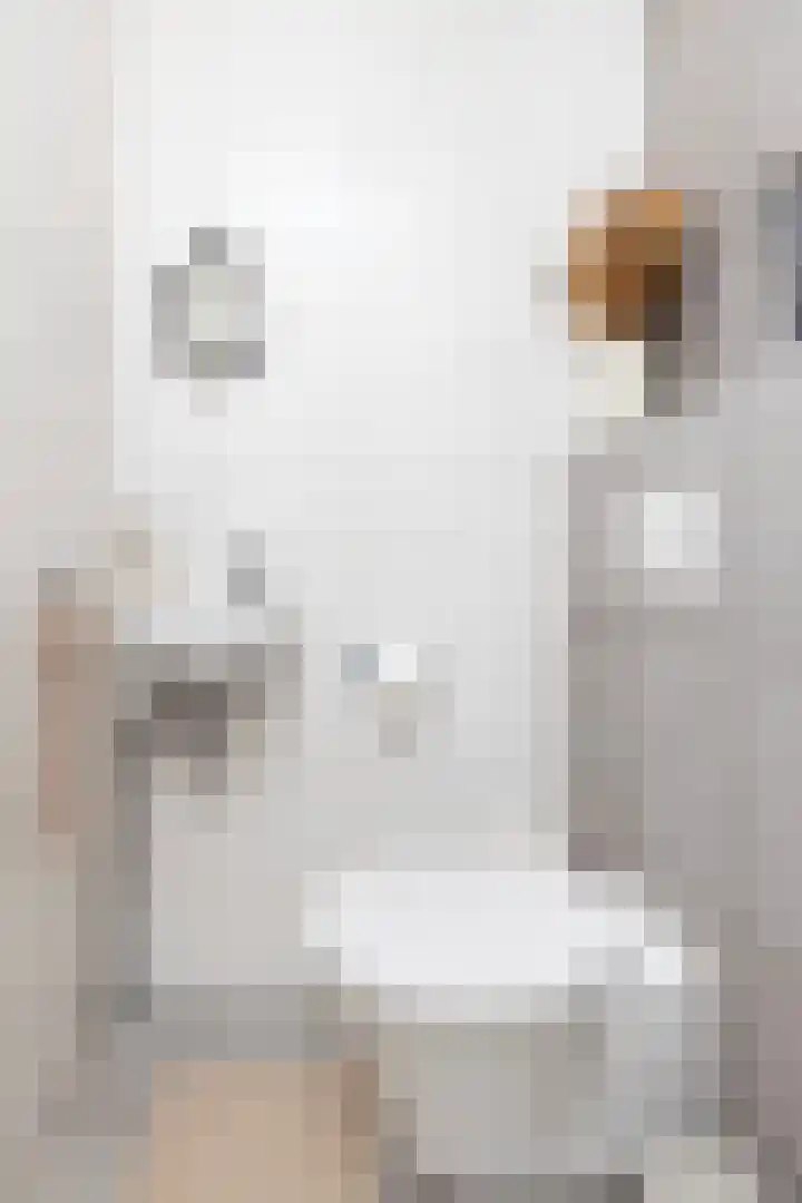 Conerij 22 Ede thumbnail 8